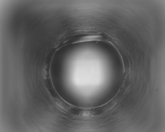 X0000073420264200608041032