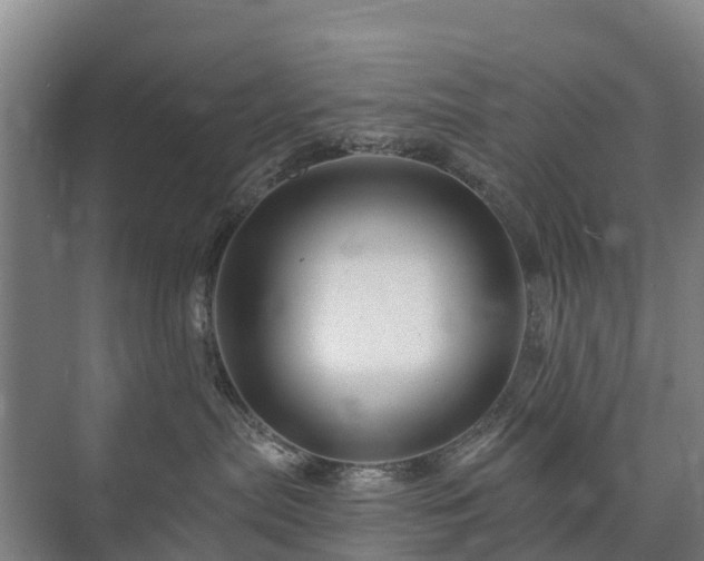 X0000073420287200608041032