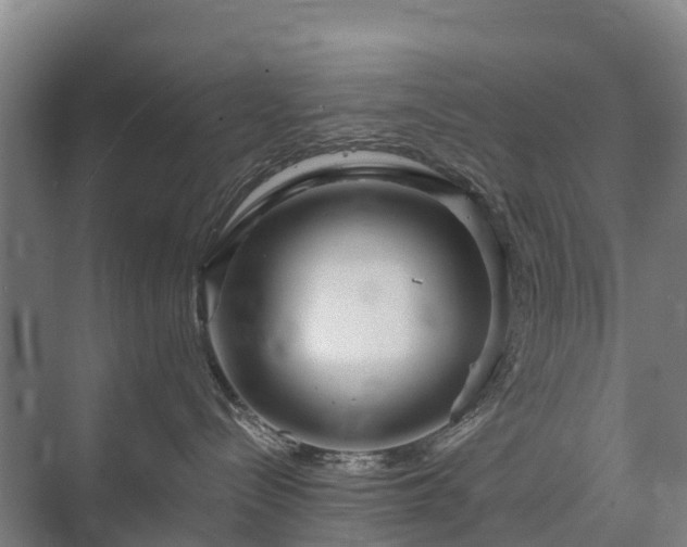 X0000073420288200608041032