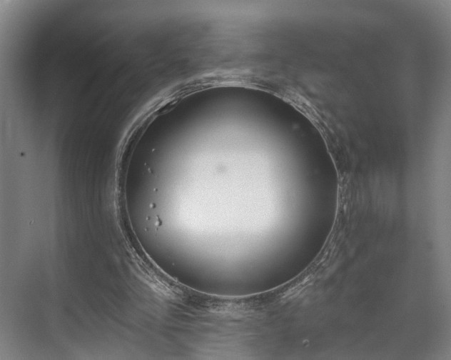 X0000073420293200608041031