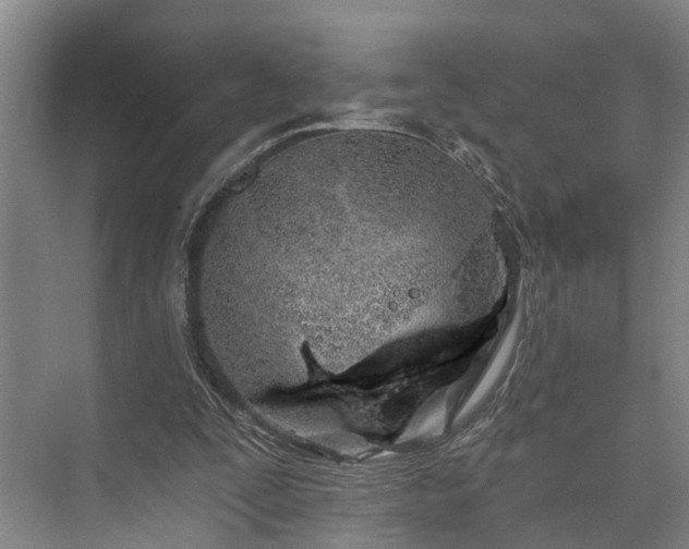 X0000073420295200608041031