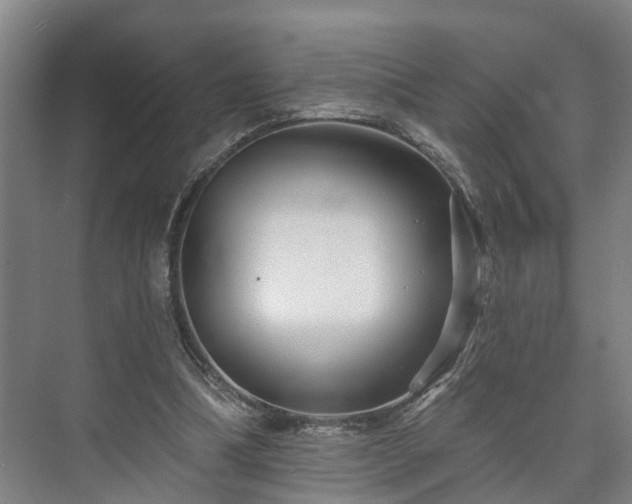 X0000073420298200608041031