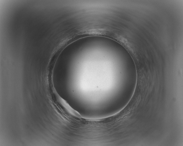 X0000073420299200608041031