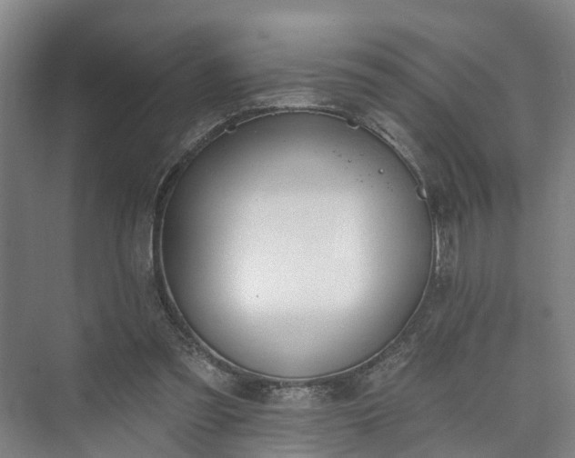 X0000073420301200608041031