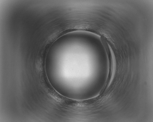 X0000073420303200608041031