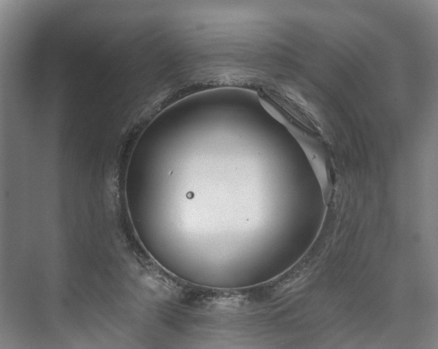 X0000073420306200608041031