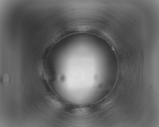 X0000073420307200608041031