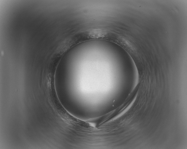 X0000073420315200608041031