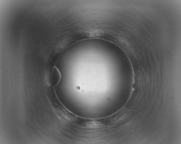 X0000073420316200608041031