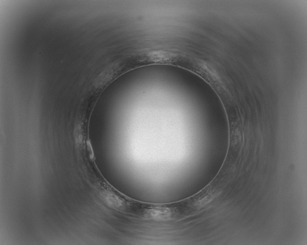 X0000073420317200608041031