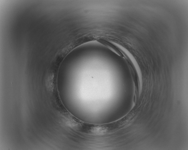 X0000073420319200608041031