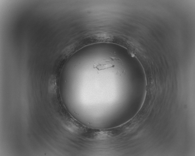 X0000073420320200608041031