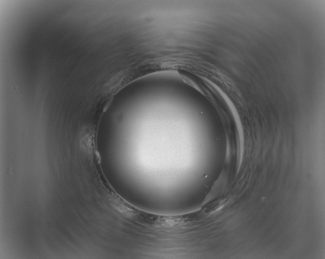 X0000073420329200608041031