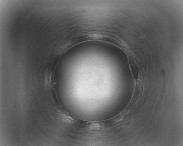 X0000073420330200608041031