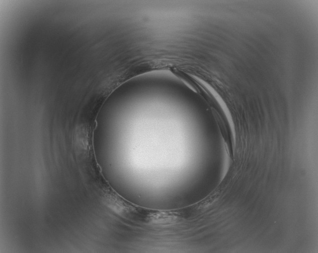 X0000073420331200608041031