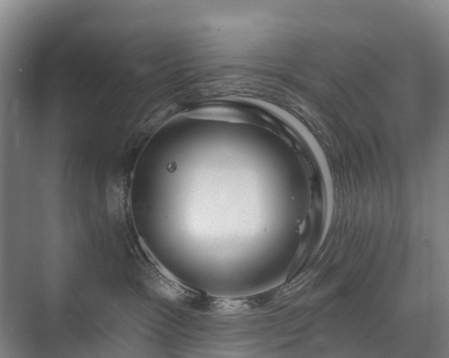 X0000073420333200608041031