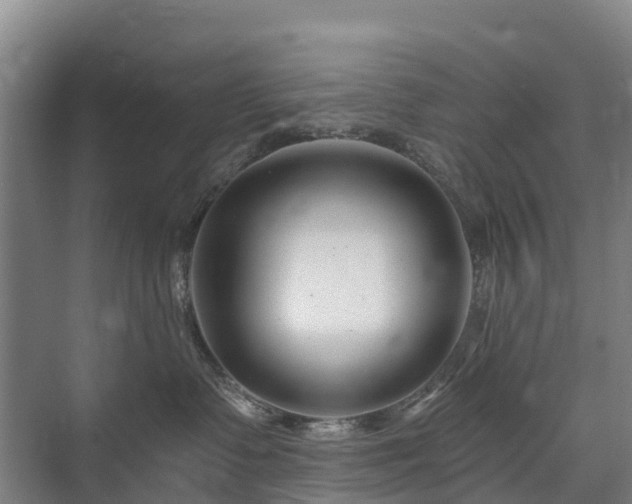 X0000073420335200608041031