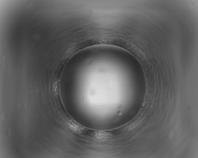 X0000073420336200608041031