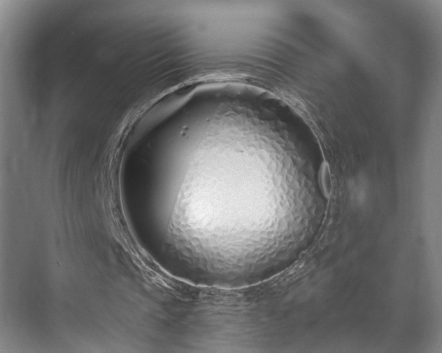 X0000073420337200608041030