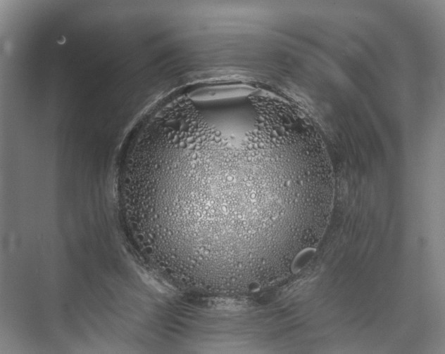 X0000073420347200608041030