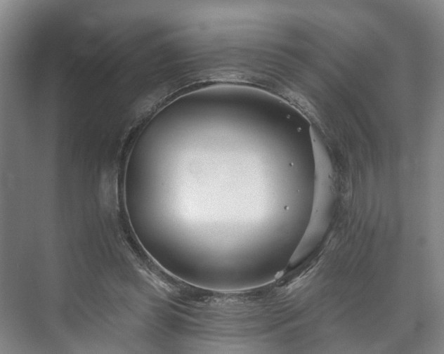 X0000073420349200608041030