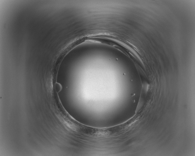 X0000073420350200608041030