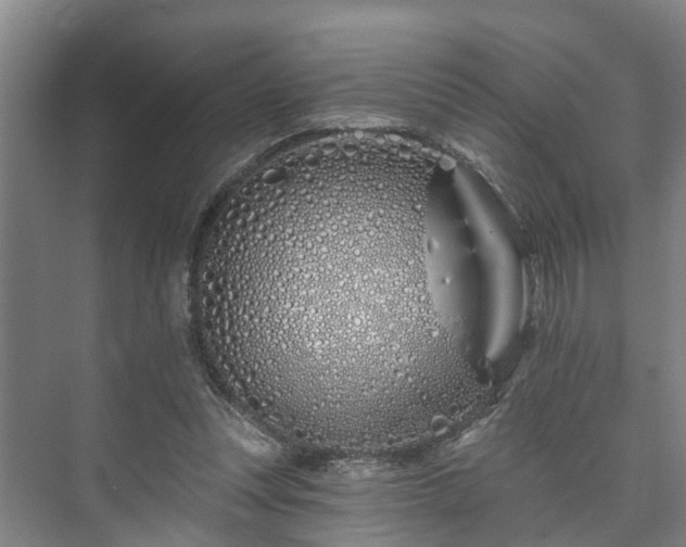 X0000073420351200608041030