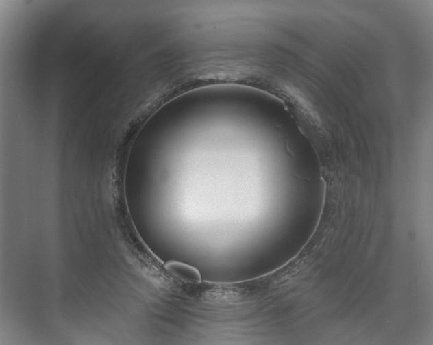 X0000073420354200608041030