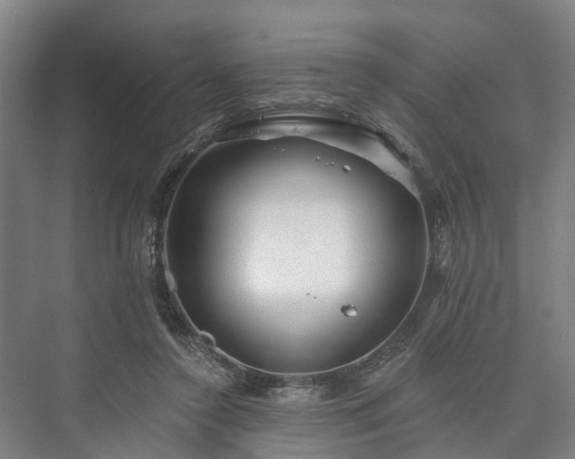 X0000073420356200608041030