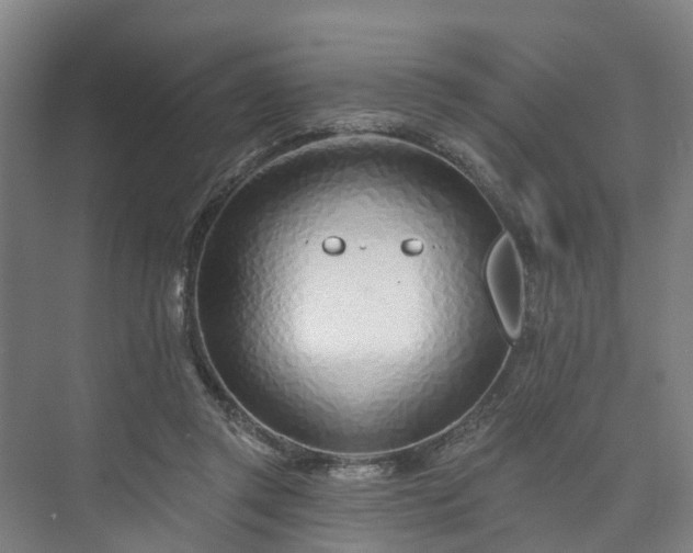 X0000073420357200608041030