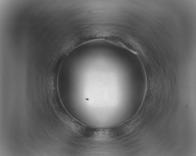 X0000073420362200608041030