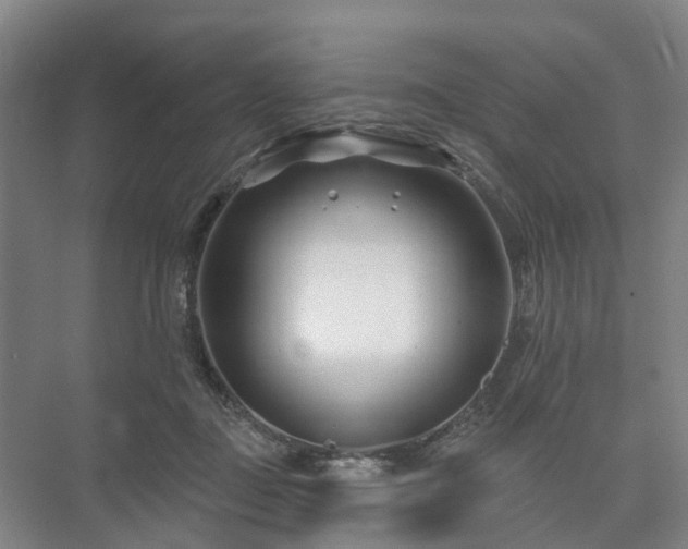 X0000073420363200608041030