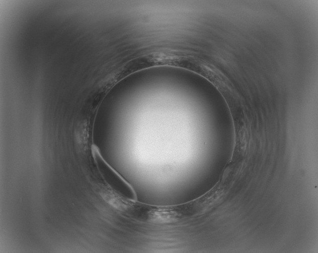 X0000073420372200608041030