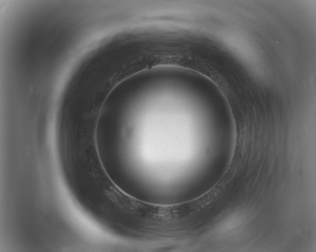 X0000073420383200608041031