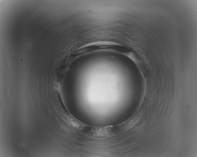 X0000073420384200608041031