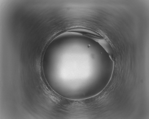 X0000073420386200608041030