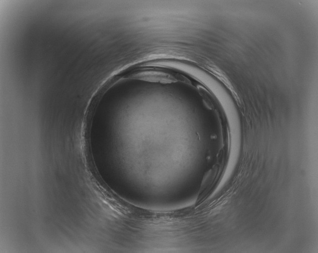 X0000073420387200608041030