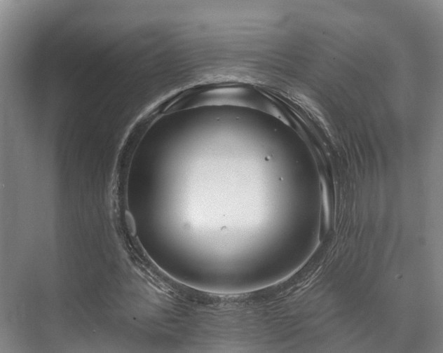 X0000073420388200608041030