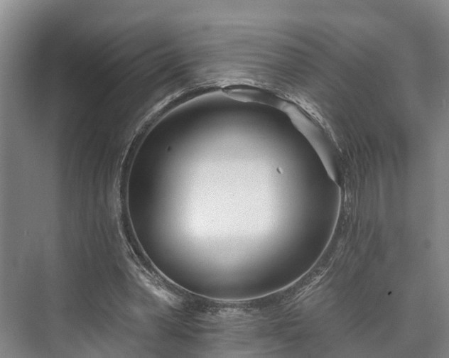 X0000073420390200608041030