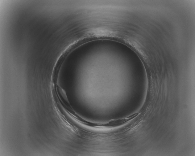 X0000073420391200608041030