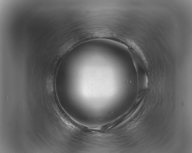 X0000073420393200608041030