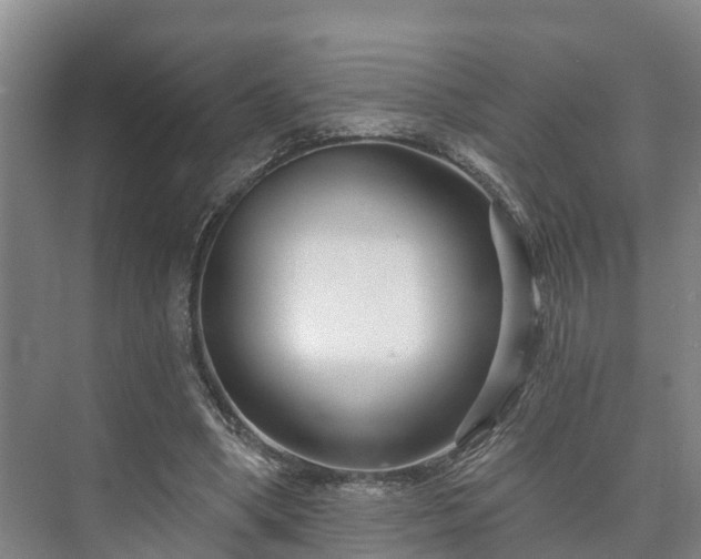 X0000073420394200608041030