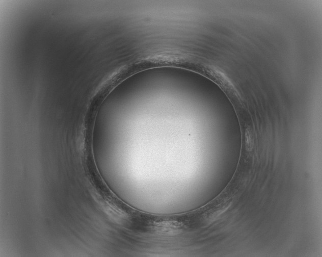 X0000073420396200608041030