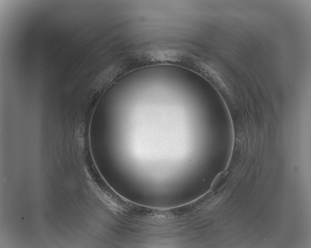 X0000073420402200608041029