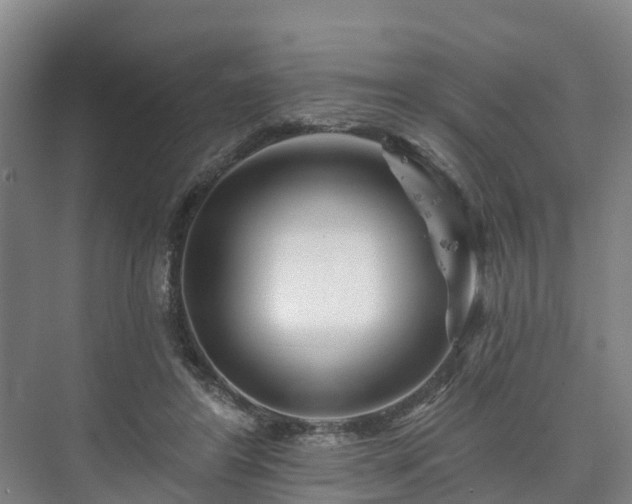 X0000073420404200608041029