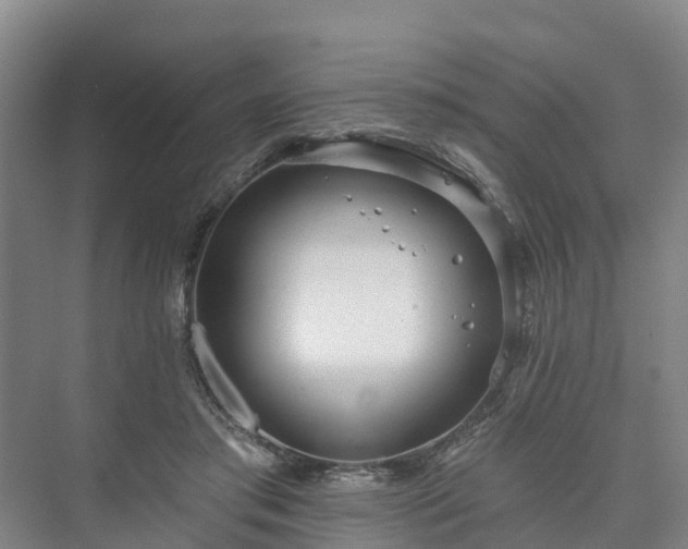 X0000073420405200608041029