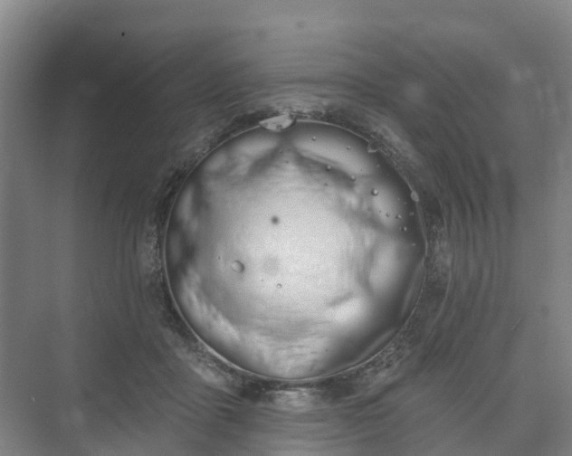 X0000073420411200608041029