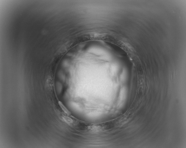 X0000073420419200608041029