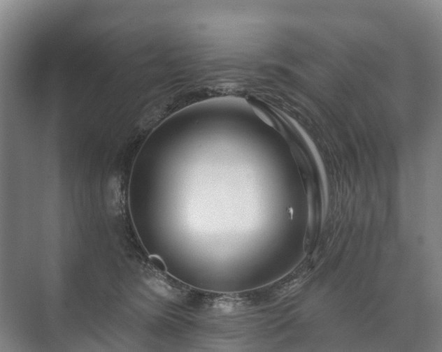 X0000073420420200608041029