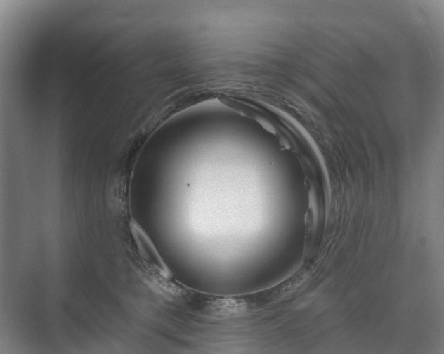 X0000073420421200608041029